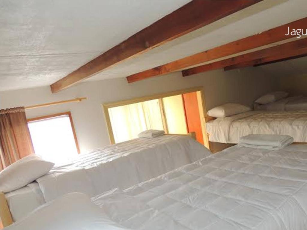 Hostel Jaguar Винья-дель-Мар Номер фото